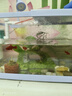 納學(xué)魚缸樹脂苔蘚絨毛橋魚玩洞穴裝飾魚缸水族館裝飾烏龜缸造景假山石 默認(rèn) 曬單實拍圖