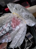 德力西電氣（DELIXI ELECTRIC）羊角錘一體成型木工錘子家用多功能起釘錘敲擊鐵榔頭【精拋款】 曬單實拍圖