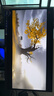 AOC 愛(ài)攻26.5英寸QD-OLED 4K240Hz 10Bit 0.03ms DP2.1 每臺6色軸校準 低藍光游戲電競顯示器AG276UZD 曬單實(shí)拍圖