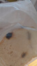 西域美農(nóng) 新疆特產(chǎn)黃油堅(jiān)果大列巴面包400g早餐休閑零食核桃仁葡萄干面包 新疆黃油果仁大列巴400g*2條 曬單實(shí)拍圖