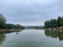 優(yōu)衣庫女裝紐花圓領(lǐng)針織開(kāi)衫/毛衣外套空調衫通勤秋冬新款481477 69 藏青色 XL /165/92A 曬單實(shí)拍圖