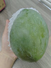 京鮮生 攀枝花凱特芒果 凈重4.5斤 帶箱5斤 單果400g+ 生鮮水果源頭直發(fā) 曬單實(shí)拍圖
