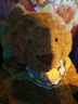 Jellycat巴塞羅熊動(dòng)物毛絨玩偶兒童安撫公仔小熊潮玩生日新婚禮物 巴塞羅熊 Huge 曬單實(shí)拍圖