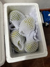 【順豐】新鮮雞蛋果 云南/海南蛋黃果 獅頭果熱帶水果香甜軟糯 單果120-200g 2500g 曬單實拍圖