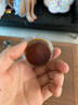 曇蓓漫甲蟲果凍昆蟲獨(dú)角仙果凍鍬甲飼料食物中華大扁鍬甲秋甲蟲金龜子 【5枚散裝、甲蟲果凍黑糖口味】 注該款為散裝、介意者勿拍 曬單實(shí)拍圖