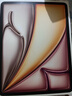Apple/蘋果iPad Air 13英寸 M3芯片2025年款 平板電腦 (256GB WLAN版/學(xué)習(xí)辦公娛樂)星光色 曬單實拍圖