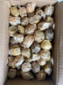 京鮮生 東北特產(chǎn)姑娘果 凈重2斤裝 黃姑娘果菇娘果燈籠果源頭直發(fā)包郵 曬單實(shí)拍圖