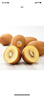 佳沛（zespri）x1號會員店聯(lián)名款陽光金奇異果24粒禮盒單果約103-124g水果獼猴桃 曬單實拍圖