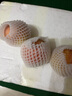 綠農(nóng)俠陜西洛川蘋果紅富士新鮮水果整箱批發(fā)冰糖心脆甜大果 脆甜|正宗洛川紅富士蘋果 【精選】4.5斤中果75-80mm實惠裝 曬單實拍圖