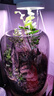 瑜方植物補(bǔ)光燈全光譜LED植物生長燈防太陽天使環(huán)多肉補(bǔ)光燈家用種植 6W定時調(diào)節(jié)【底座+電源適配器】 曬單實拍圖