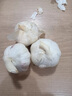 河南大蒜5斤蒜頭干大蒜2025年新蒜大蒜頭獨頭蒜紫皮農(nóng)家新鮮蔬菜 3斤 中果 曬單實拍圖