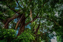 銘匠10mm F2星空風(fēng)光超廣角鏡頭大光圈微單鏡頭 半畫幅手動(dòng)對(duì)焦 銘匠10f2 適用FX卡口E卡口Z卡口RF卡口 尼康Z口 官方標(biāo)配 曬單實(shí)拍圖