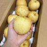 南步四川蒼溪黃金梨【老品種】廣元特產(chǎn)黃皮翠冠梨黃金梨子新鮮水果 9斤 精選特大果【單果300g+】 曬單實(shí)拍圖