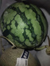【產(chǎn)地直采】麒麟奶油西瓜 約4.5kg 曬單實拍圖