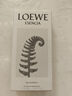 羅意威LOEWE 怡然天光盛夏風(fēng)情自然之水羅意威之水男女士香氛淡香水 黑色圓舞曲濃香100ml 曬單實拍圖