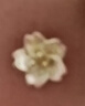 GLTEN櫻花銀耳釘女生日七夕情人節(jié)禮物女生送女朋友老婆紀念日表白耳飾 曬單實拍圖