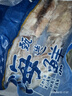 美加佳 鮮凍整只大魷魚(yú)（2-3只） 凈重550g 整條魷魚(yú) 深海捕撈 海鮮水產(chǎn) 曬單實(shí)拍圖