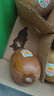 佳沛（zespri）新西蘭奇異果8個(gè)裝單果123-135g金果4粒+綠果4粒源頭直發(fā)一件包郵 曬單實(shí)拍圖