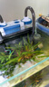 森森（SUNSUN）耀藍(lán)魚缸壁掛式過濾器YBF-500外置過濾桶【魚便分離+過濾升級(jí)】6W 曬單實(shí)拍圖