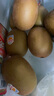 佳沛（zespri）新西蘭  陽光金奇異果巨大果22粒原箱 單果重約144-175g 獼猴桃 曬單實拍圖