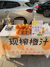 煦凜德國手動(dòng)榨汁機手壓式304不銹鋼擺攤石榴橙汁壓榨機手壓擺攤神器 電鍍款【食品級尖壓頭】+500ml量杯 曬單實(shí)拍圖