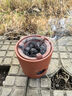金灶（KAMJOVE）紅泥砂銚壺2024新款跳蓋煮茶壺側(cè)把炭火茶壺煮泡茶套裝家用KP-T03 紅泥砂銚壺搭配紅泥碳爐 400ml 曬單實(shí)拍圖