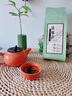 七春 茶葉安溪鐵觀音200g*3包大份量 祥華鄉(xiāng)原產(chǎn)蘭花香茶葉自己喝  曬單實(shí)拍圖