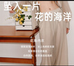 伊維斯【花?！啃缕穬纫滦⌒鼐蹟n強承托透氣小海豚防外擴文胸內衣女 奶膚 M /160(適合:70ABCD,75ABC) 曬單實拍圖