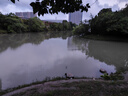 國(guó)王路亞魚(yú)線碳線氟碳前導(dǎo)線全碳素線子線50米耐磨防咬海釣線 3號(hào)/50米 曬單實(shí)拍圖