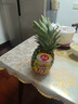 佳農(nóng) 菲律賓進(jìn)口菠蘿 2個裝 鳳梨 單果凈重2斤 新鮮水果 源頭直發(fā)   曬單實拍圖