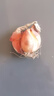 四季紅蔥頭小蔥種子火蔥頭四川干皮春季蔬菜萊疏菜陽臺種種籽 紅蔥頭3斤 曬單實拍圖