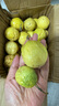【熱賣款】廣西黃金百香果欽蜜9號新鮮水果當(dāng)季水果現(xiàn)摘整箱水果 40個裝 單果30g以下 曬單實拍圖