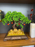 發(fā)財(cái)樹擺件金蟾客廳辦公室店鋪前臺(tái)裝飾品白菜開業(yè)擺件工藝品 【順豐】YX12寸金蟾納財(cái)迎客松39 曬單實(shí)拍圖
