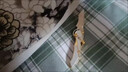 NOLIN 諾凌三角洲行動(dòng)周邊盲盒干員盒子北極星非洲之心模型手辦 隨機高品質(zhì)物品【保底三件】 盲盒模型北極星海洋非洲之心影鋒憐憫刀等【隨機物資】 曬單實(shí)拍圖