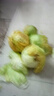 高原夏菜新鮮包菜卷心菜綠甘南菜甘藍圓白菜時(shí)令蔬菜健康營(yíng)養早餐 9斤農家好菜 曬單實(shí)拍圖