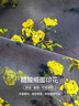 GCRZW高端醋酸印花半身裙女夏季2025新款垂感寬松直筒裙碎花a字包臀裙 黃花 【輕奢氣質(zhì)款】 XL /29 建議115-125斤 曬單實(shí)拍圖
