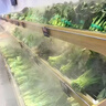 康伯龍煙葉回潮回軟增濕噴霧超聲波加濕器大霧量汽車貼膜降塵車間倉庫降溫除靜電蔬菜水果保鮮噴霧霧化器 機械款-10KG霧化量/h（全自動進水75雙管） 曬單實拍圖