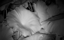 天窗紅外夜視儀夜間專(zhuān)用望遠鏡單筒高清高倍軍事夜視鏡全黑非熱成像儀 曬單實(shí)拍圖