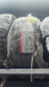 佳通GITI 輪胎235/55R18 104V GitiSynergy H2 適配 哈弗H2/瑞虎8 曬單實(shí)拍圖