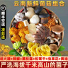 云南新鮮野生菌菇組合現(xiàn)摘雜菌時令松露見手青雞樅牛肝菌年貨送禮 新鮮雜菌組合【順豐空運(yùn)】 1000g 曬單實(shí)拍圖