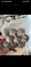 潮興記 汕頭牛肉丸量販裝150g*6包共900g牛肉含量≥95%不含豬肉火鍋食材 曬單實拍圖