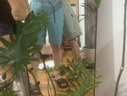 蕉內(nèi)涼皮501Cool男士防潑水拼接短褲涼感速干防曬耐沾污運動褲子夏季 曬單實拍圖