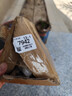 重瓣太陽(yáng)花苗死不了夏季耐熱植物陽(yáng)臺庭院室內好養易種花卉盆栽 太陽(yáng)花苗【混色 10株】原土無(wú)盆 曬單實(shí)拍圖