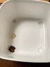 【杜比亞蟑螂-活體】鬃獅糧倉(cāng)鼠糧守宮龍魚(yú)鸚鵡魚(yú)龜糧活體飼料 精選鮮活1-1.5厘米杜比亞120只 曬單實(shí)拍圖