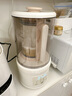 藍(lán)寶（BLAUPUNKT）破壁機(jī)家用豆?jié){機(jī)全自動免煮2025新款靜低音破壁機(jī)小型榨汁機(jī)嬰兒米糊機(jī)磨粉機(jī)智頻變速七夕節(jié)禮物 曬單實拍圖
