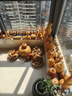 四季沐歌（MICOE）照明全光譜護眼客廳大燈吸頂燈飾餐廳臥室簡約燈具套餐中山包安裝 曬單實拍圖