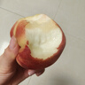 佳沛（zespri）【官方正品】新西蘭陽光金奇異果黃心獼猴桃孕婦寶寶輔食送禮水果 12枚禮盒裝【單果約100-125g】 曬單實拍圖