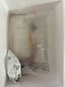 錦鯉魚活體觀賞魚活魚小型易養(yǎng)冷水淡水魚小魚苗錦鯉金魚好看錦鯉 10-12cm 六色錦鯉套餐6條 曬單實拍圖
