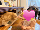 紐備麗提多功能寶寶防撞條嬰幼兒墻角護角防護條免貼膠加寬加厚 曬單實拍圖