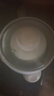 九陽（Joyoung）電燉鍋 電燉盅 隔水燉 燕窩電燉盅1L小容量家用燉湯盅寶寶煮粥輔食陶瓷迷你煲湯鍋D-10G1 【白瓷內(nèi)膽】 1L 曬單實拍圖